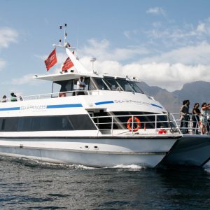 Sea Princess